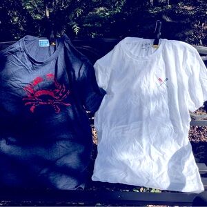 Bundle of Graphic summer shirts from J. Crew